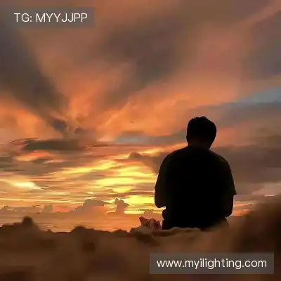 舒舜飚
